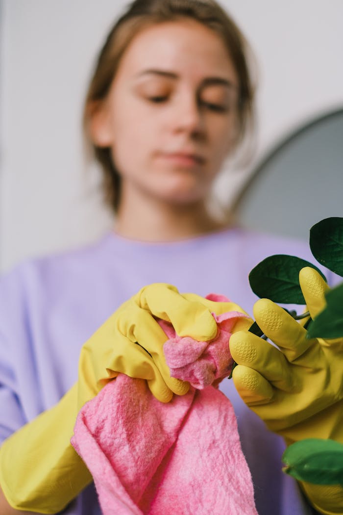 services-03 Focused woman in gloves cleaning with a pink towel indoors, emphasizing cleanliness and care.